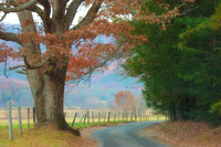 Landscapes